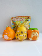 Lisa Lucky Tiger Squishy Blind Bag